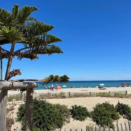 Apartment T2 Traversant Saint-cyprien Climatise 4/5 Pers - Fr-1-793-33 Saint-Cyprien (Pyrenees-Orientales)