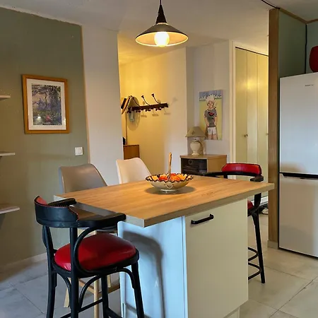 Apartment T2 Traversant Saint-cyprien Climatise 4/5 Pers - Fr-1-793-33 Saint-Cyprien (Pyrenees-Orientales)