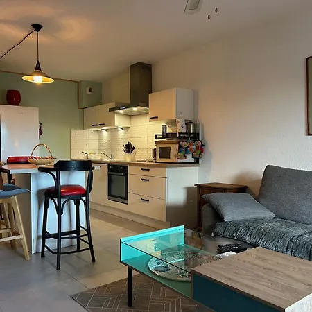T2 Traversant Saint-cyprien Climatise 4/5 Pers - Fr-1-793-33 Apartment Saint-Cyprien (Pyrenees-Orientales)